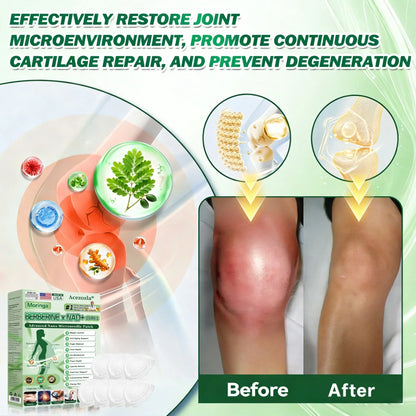 🇺🇸 𝐎𝐟𝐟𝐢𝐜𝐢𝐚𝐥 𝐔𝐒 𝐒𝐭𝐨𝐫𝐞 | 🧑‍⚕️🩺 Acezozla® Moringa · Berberine × NAD+ 𝟏𝟎-𝐢𝐧-𝟏 𝐀𝐝𝐯𝐚𝐧𝐜𝐞𝐝 𝐍𝐚𝐧𝐨 𝐌𝐢𝐜𝐫𝐨𝐧𝐞𝐞𝐝𝐥𝐞 𝐏𝐚𝐭𝐜𝐡 — 𝐎𝐧𝐜𝐞 𝐃𝐚𝐢𝐥𝐲, 𝐕𝐢𝐬𝐢𝐛𝐥𝐞 𝐑𝐞𝐬𝐮𝐥𝐭𝐬 𝐢𝐧 𝟕 𝐃𝐚𝐲𝐬🔥
